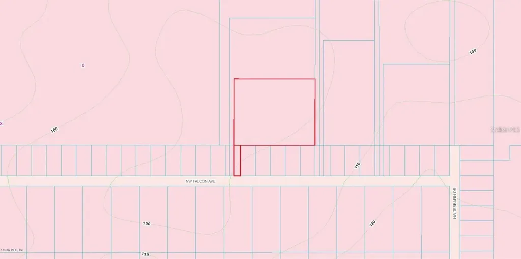NW Falcon Avenue Dunnellon FL 34431