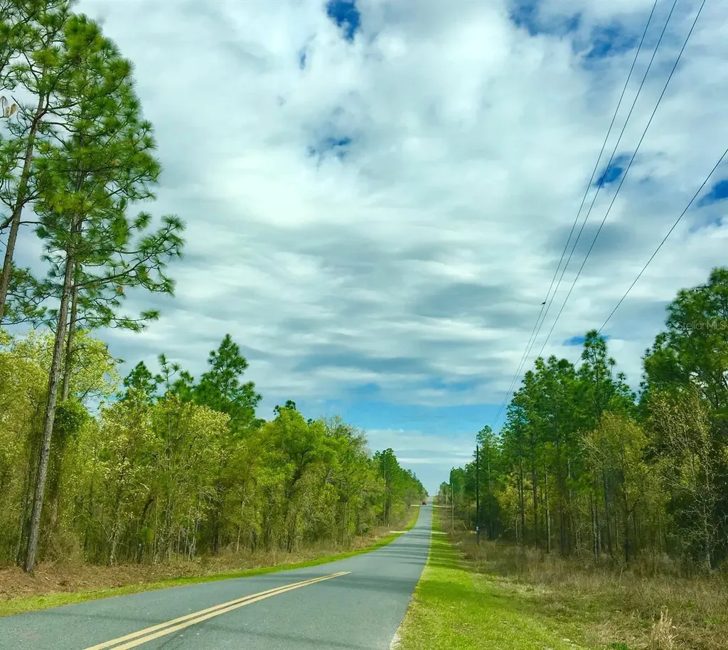 NW Falcon Avenue Dunnellon FL 34431