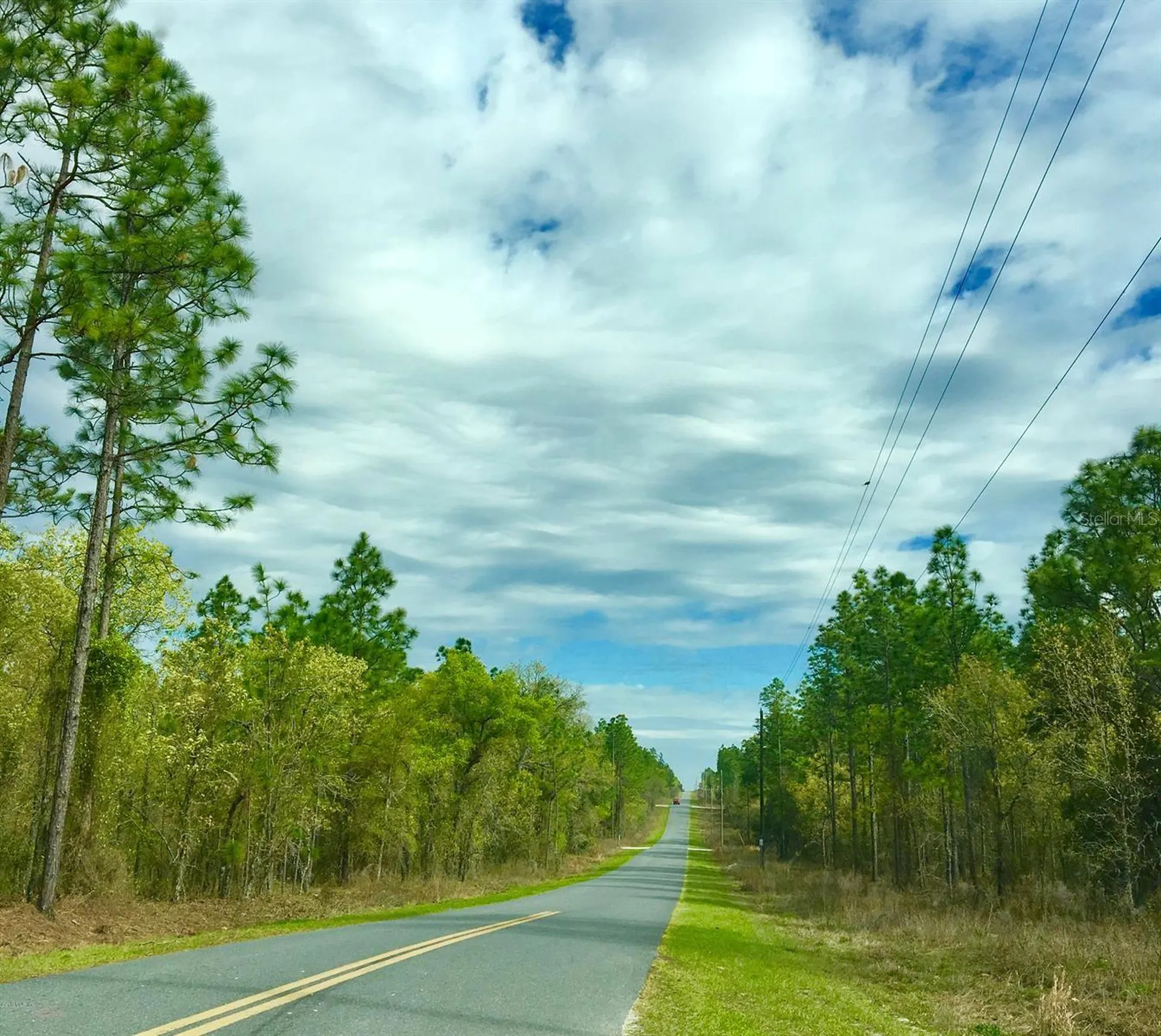 NW Falcon Avenue Dunnellon FL 34431