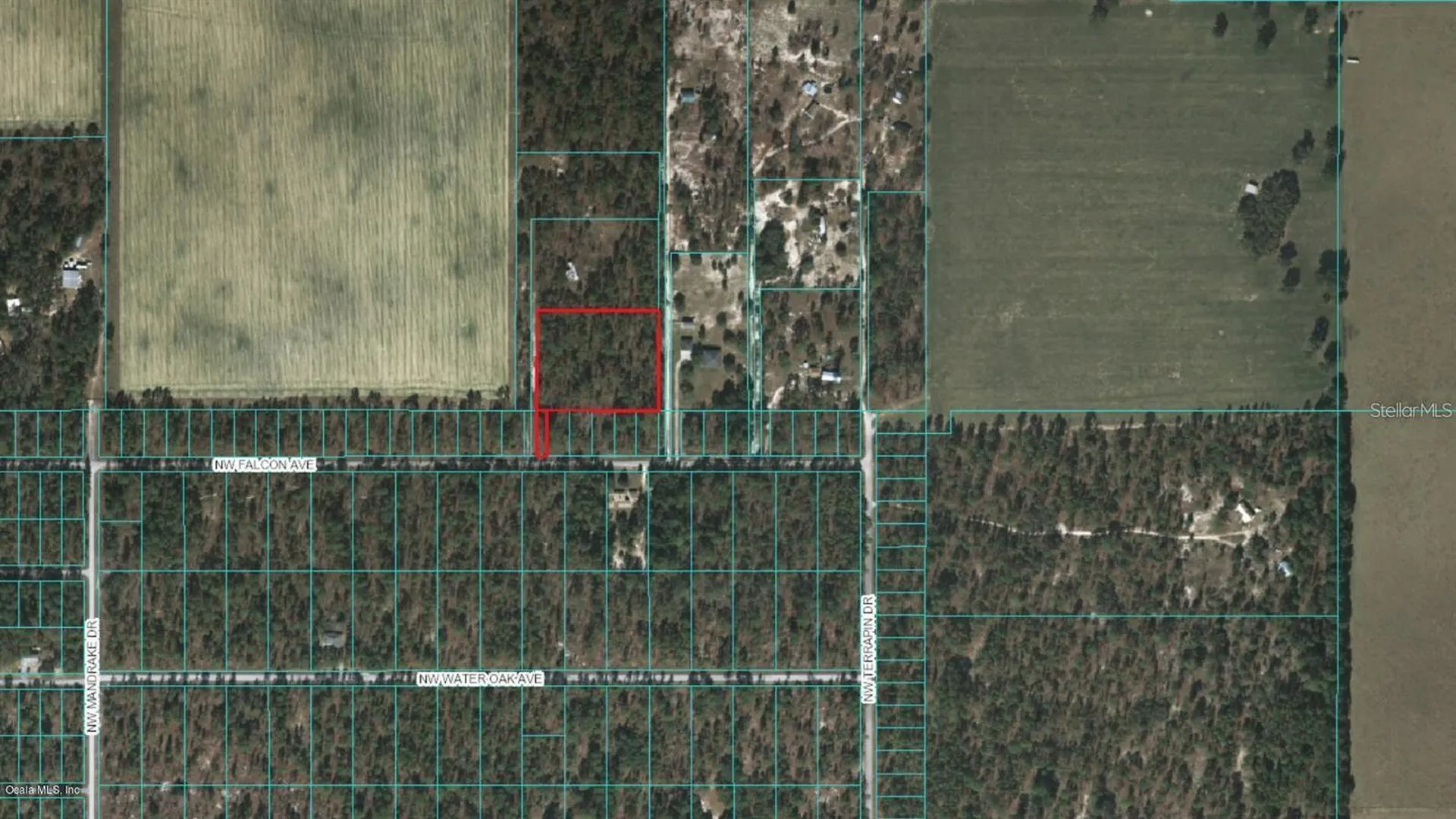 NW Falcon Avenue Dunnellon FL 34431