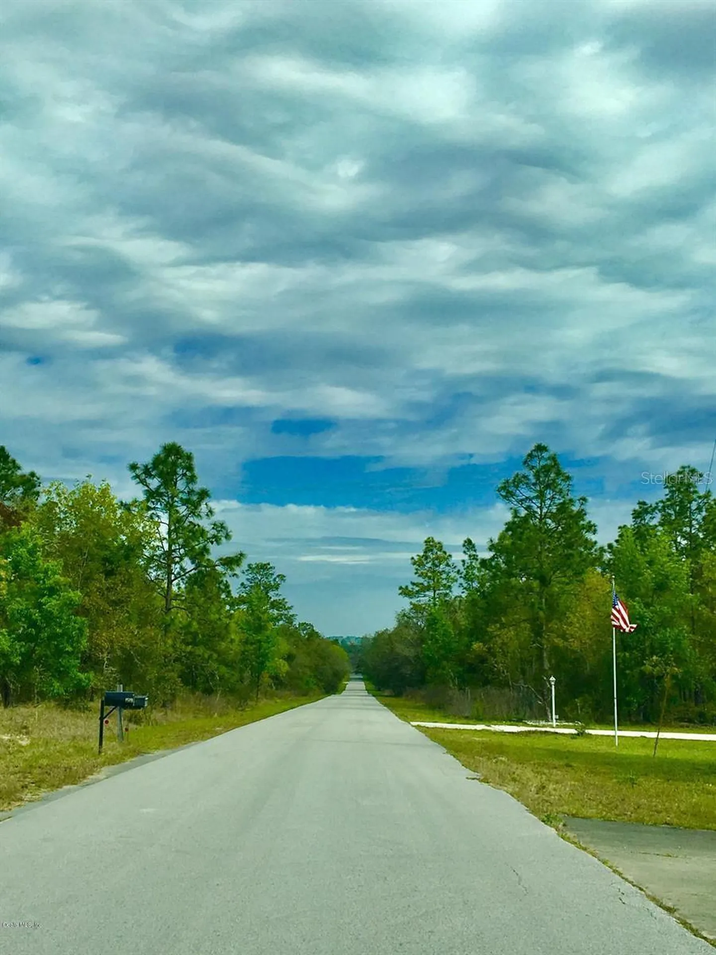 NW Falcon Avenue Dunnellon FL 34431