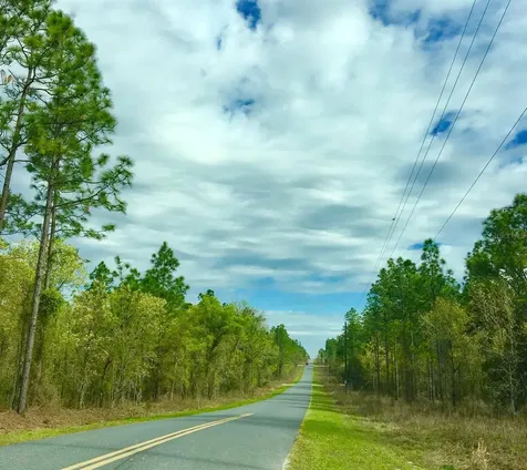 NW Falcon Avenue Dunnellon FL 34431