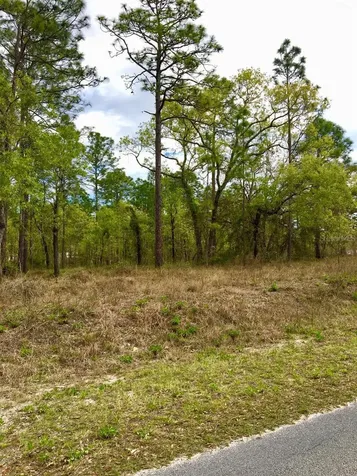NW Falcon Avenue Dunnellon FL 34431