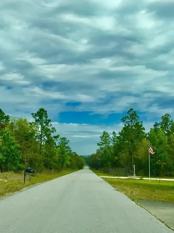 NW Falcon Avenue Dunnellon FL 34431