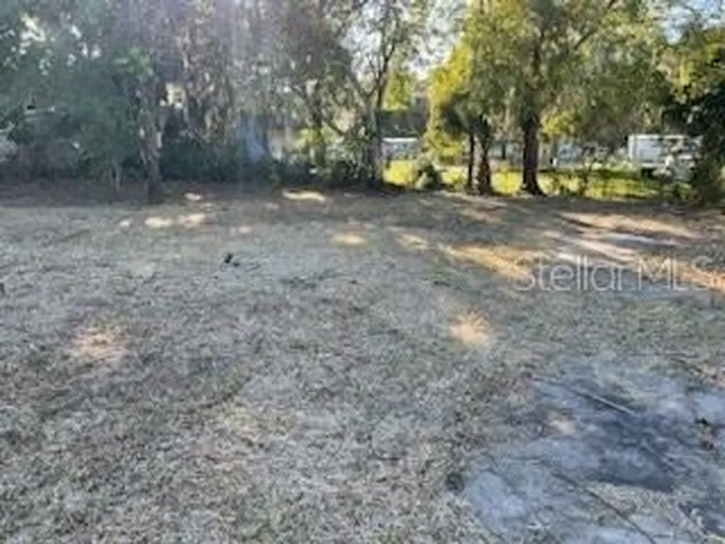 2450 Wildwood Drive Mims FL 32754