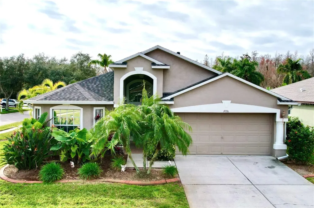 19336 Weedon Court Land O Lakes FL 34638