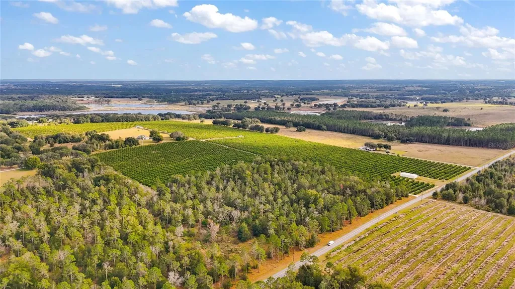 7285 Number 2 Road Howey In The Hills FL 34737
