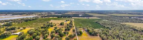 7285 Number 2 Road Howey In The Hills FL 34737