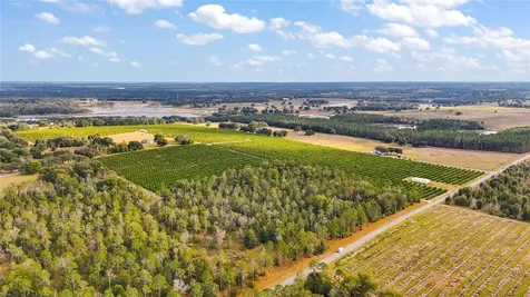 7285 Number 2 Road Howey In The Hills FL 34737