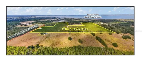 7285 Number 2 Road Howey In The Hills FL 34737