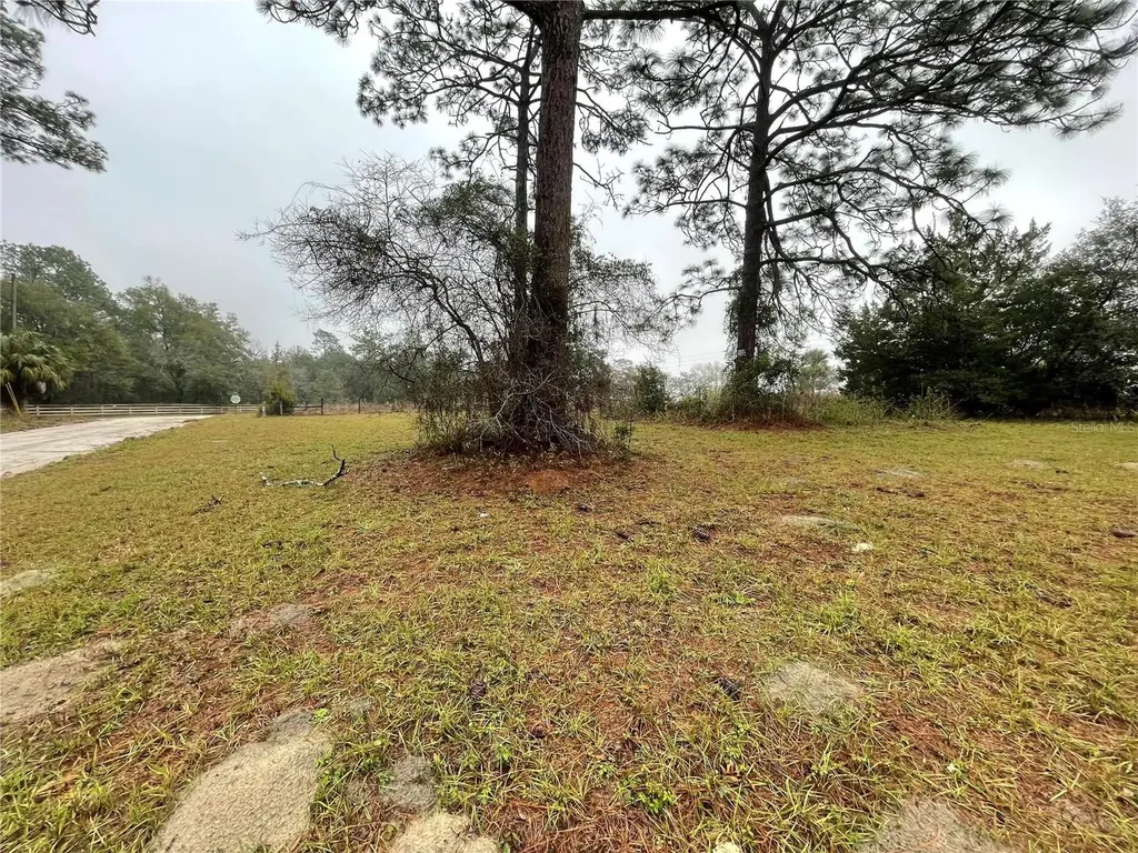 11850 SE 82nd Street Morriston FL 32668