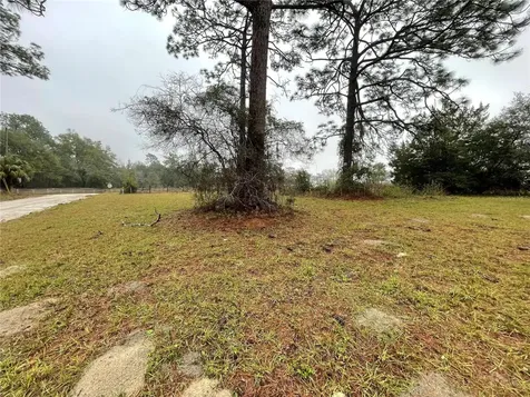 11850 SE 82nd Street Morriston FL 32668