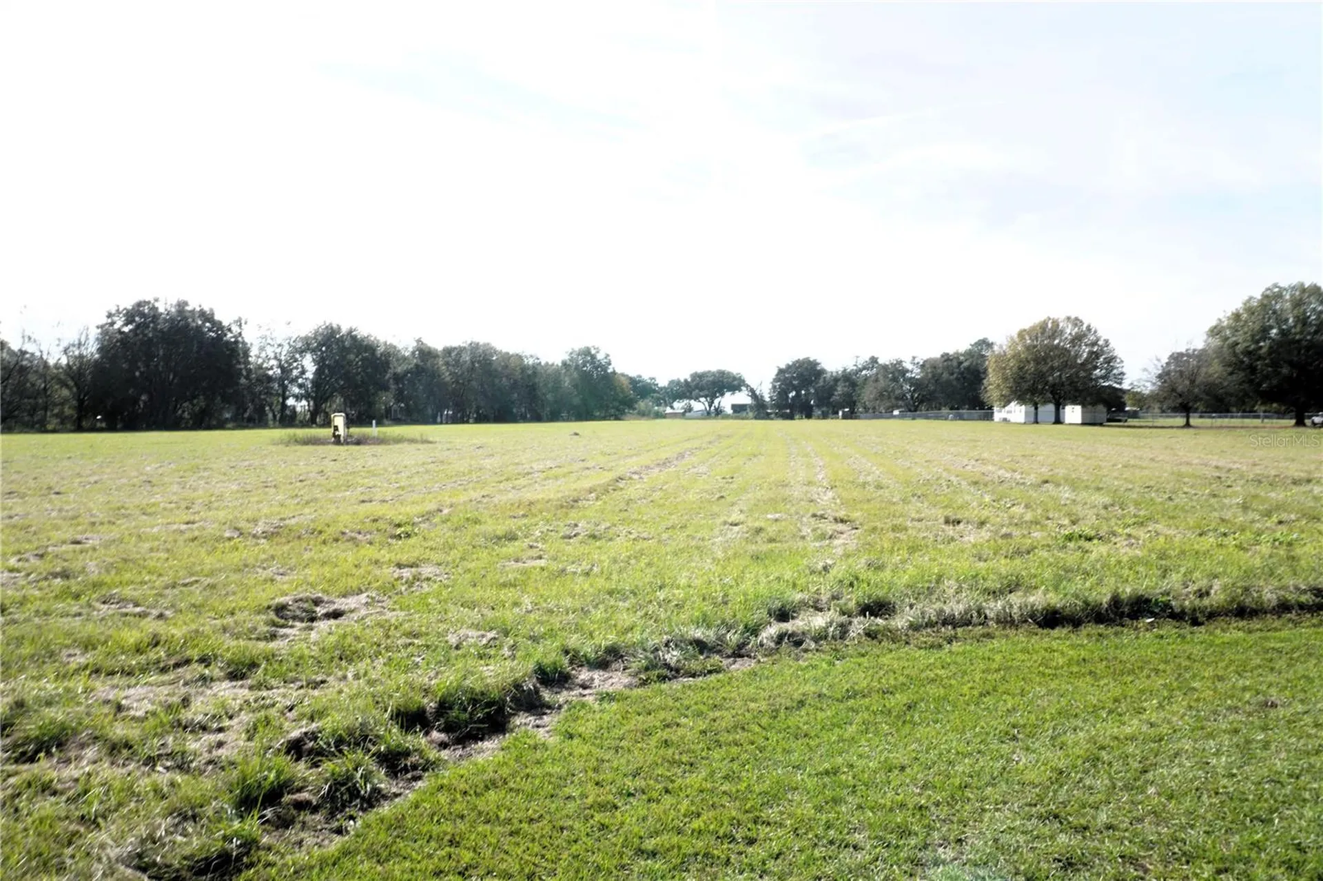 2407 Medulla Road Plant City FL 33566