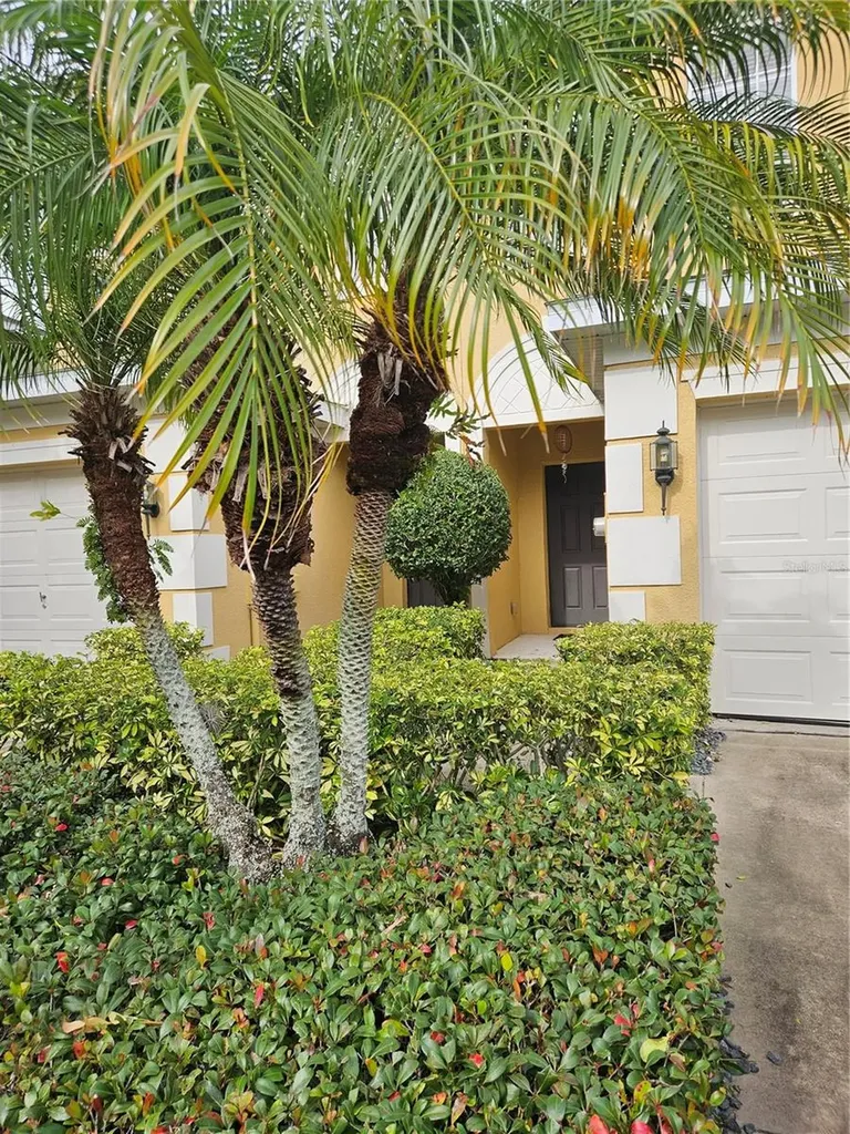 13371 Daniels Landing Circle Winter Garden FL 34787