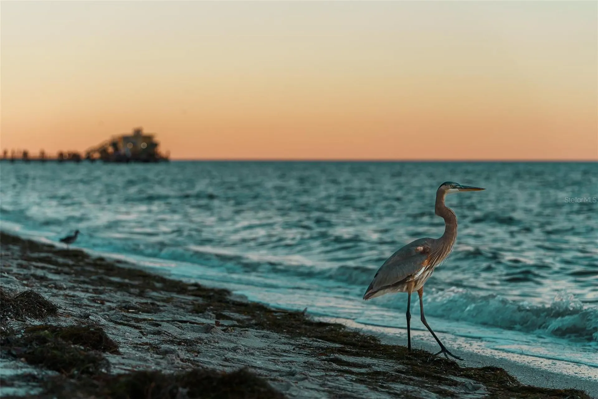 769 N Shore Drive Anna Maria FL 34216