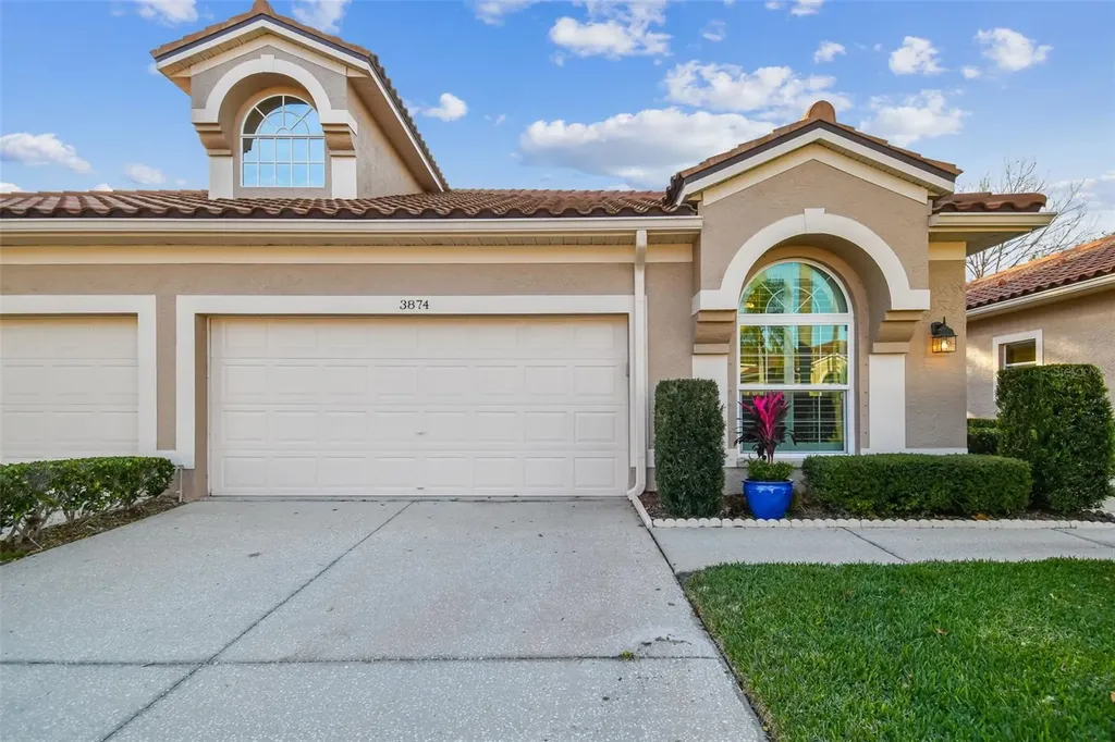3874 Timber Ridge Court Palm Harbor FL 34685