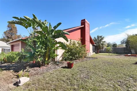 11028 Airview Drive Tampa FL 33625