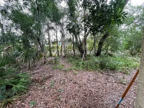 402 14th Street Palm Harbor FL 34683