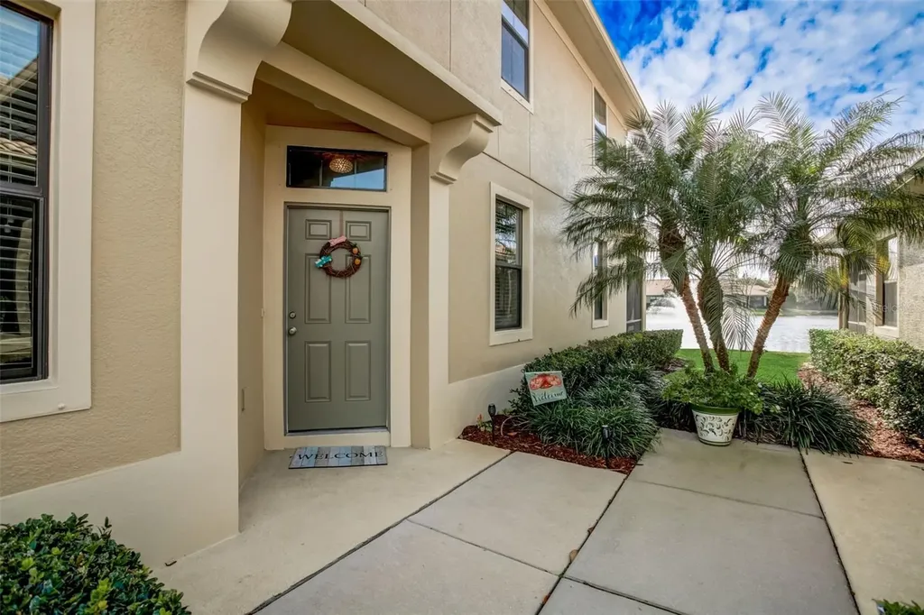 2546 Silverback Court Palm Harbor FL 34684