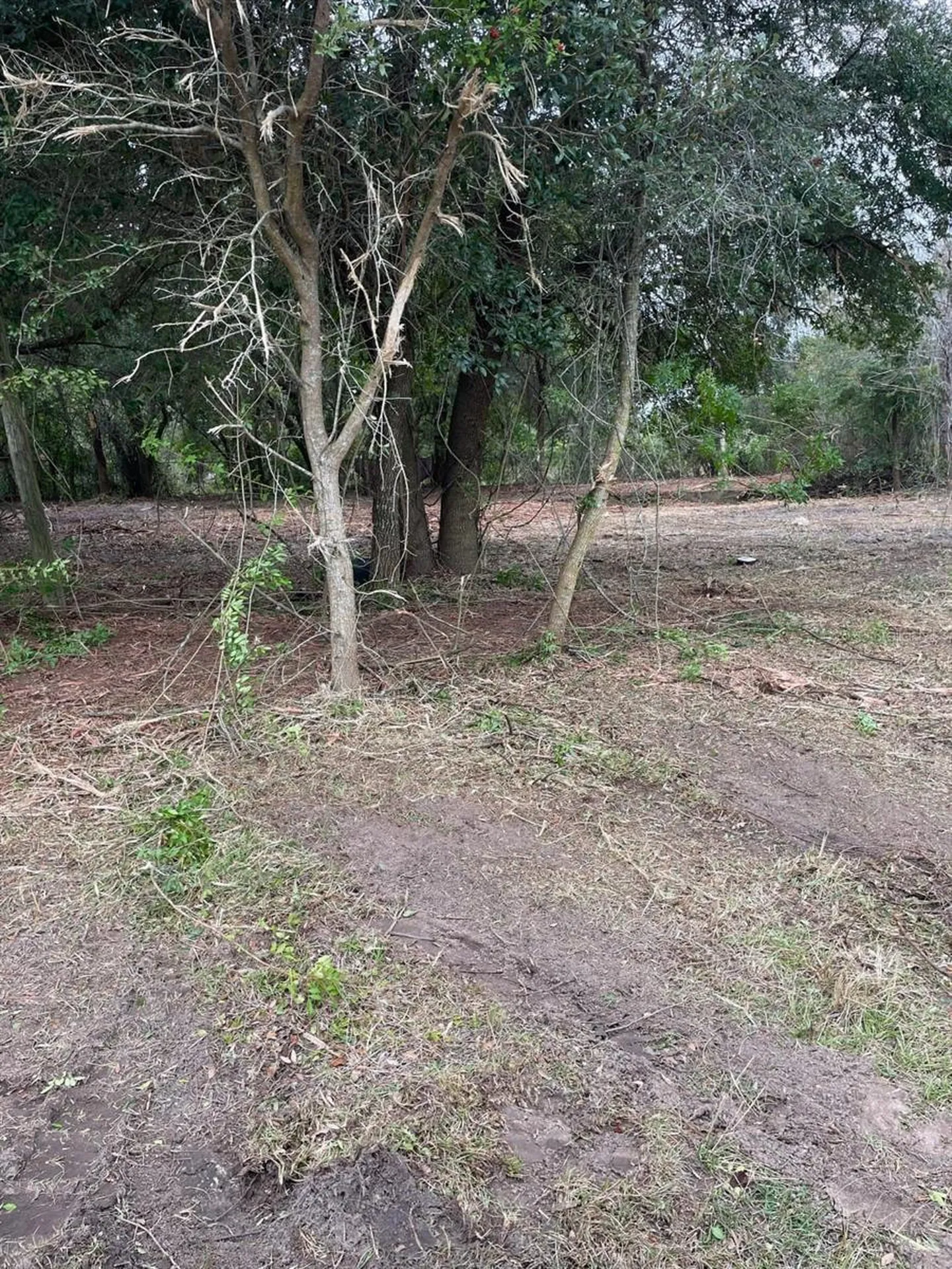Us Highway 27 Frostproof FL 33843