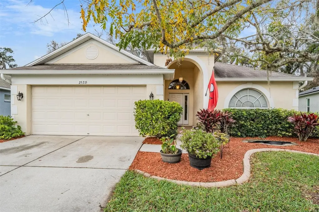 25215 Geddy Drive Land O Lakes FL 34639