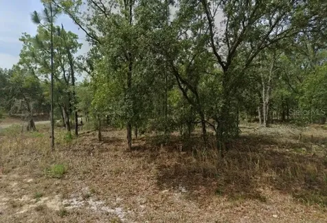 1592 W Swanson Drive Citrus Springs FL 34434