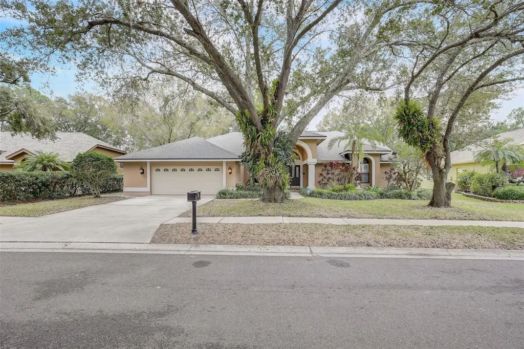 4702 Brayton Terrace S Palm Harbor FL 34685