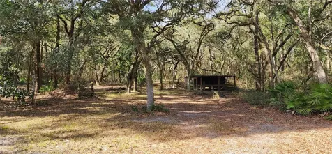12450 NW 85th Avenue Chiefland FL 32626