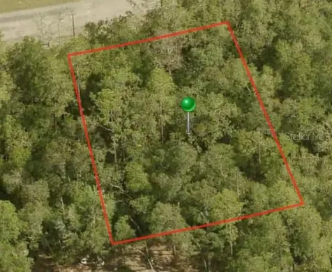 1396 W Starbright Place Citrus Springs FL 34434