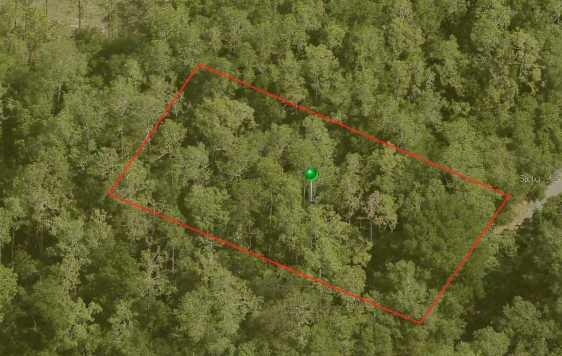 10170 N Abby Drive Citrus Springs FL 34434