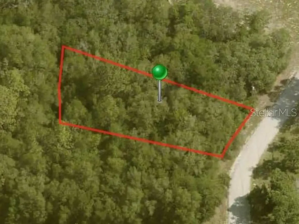 10112 N Halsey Way Citrus Springs FL 34434