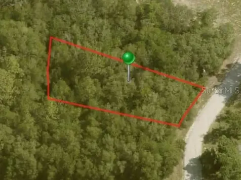 10112 N Halsey Way Citrus Springs FL 34434