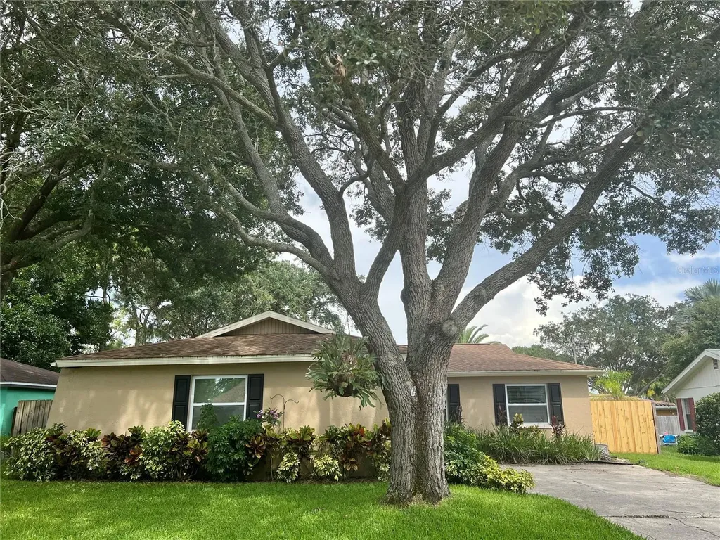 429 Tangerine Drive Oldsmar FL 34677