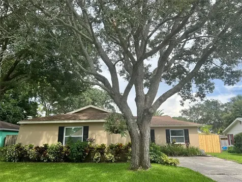 429 Tangerine Drive Oldsmar FL 34677