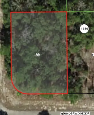 6621 N Underwood Drive Citrus Springs FL 34434