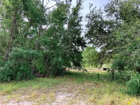 180 Tall Oaks Trail Zolfo Springs FL 33890