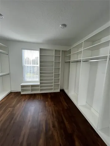 423 White Cotton Circle Oviedo FL 32765