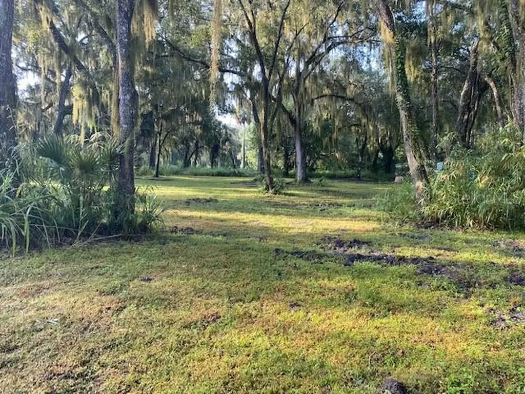 351 Palm Avenue Oak Hill FL 32759