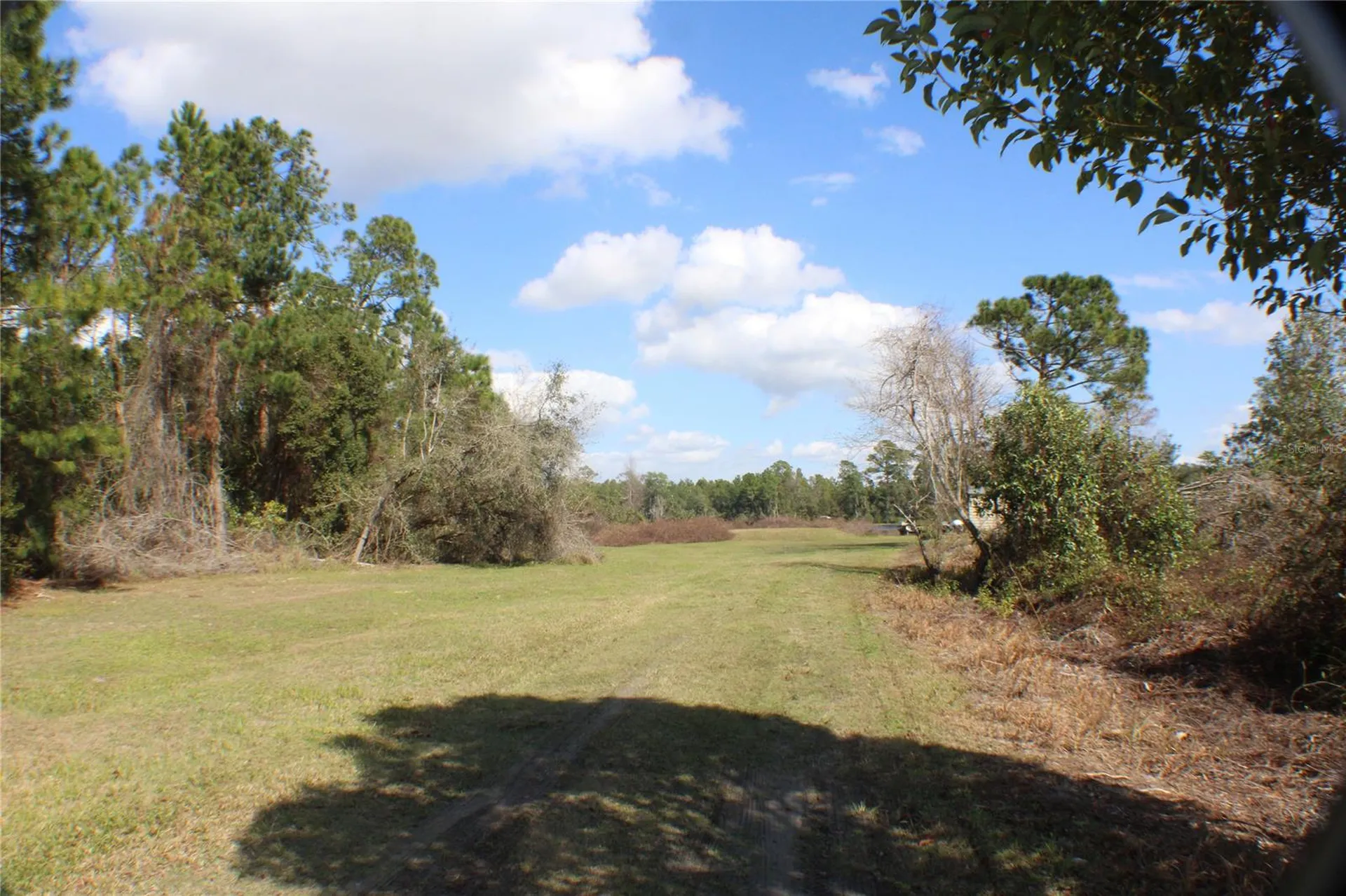 0 Gracie Drive Paisley FL 32767