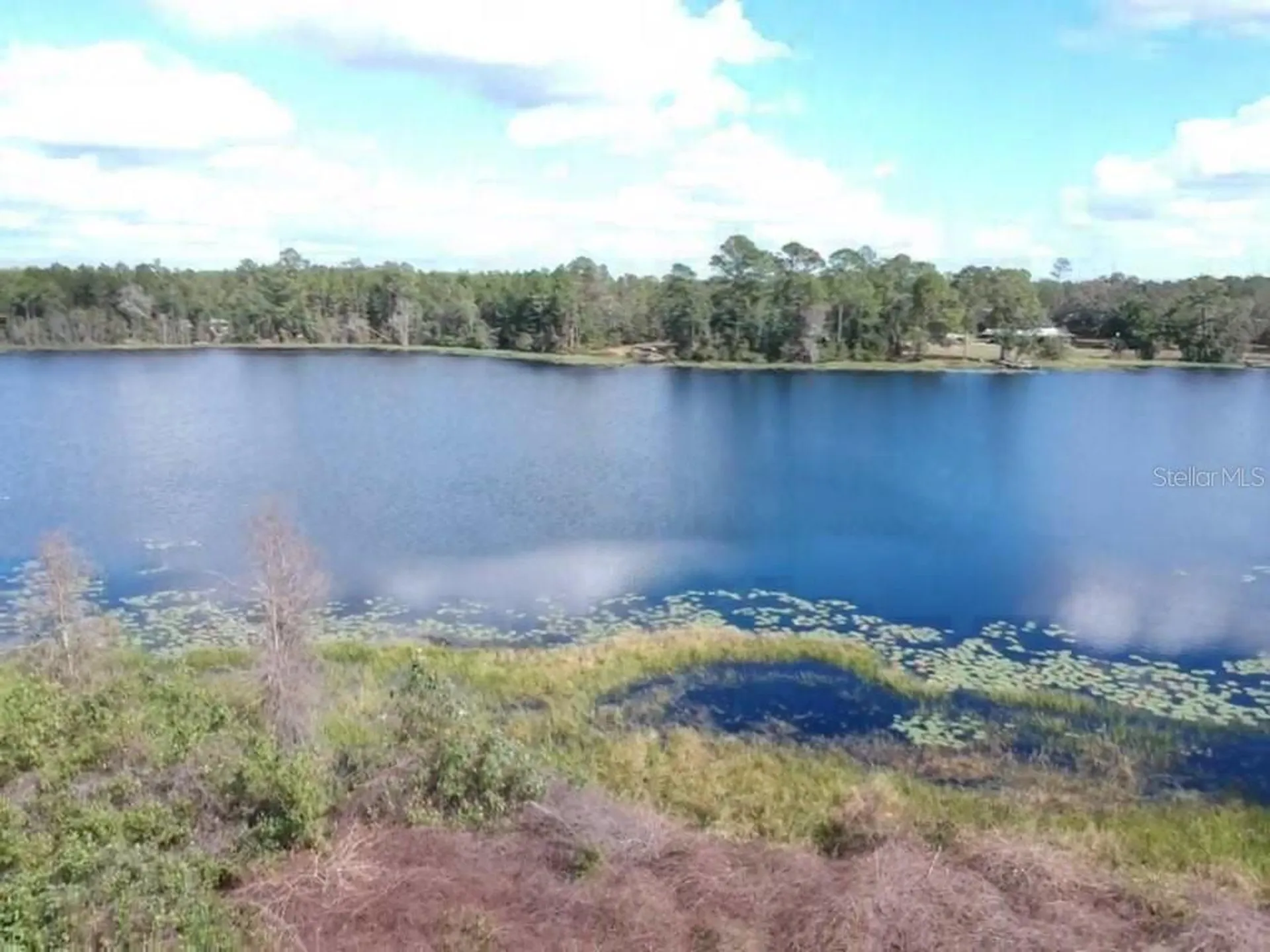 0 Gracie Drive Paisley FL 32767