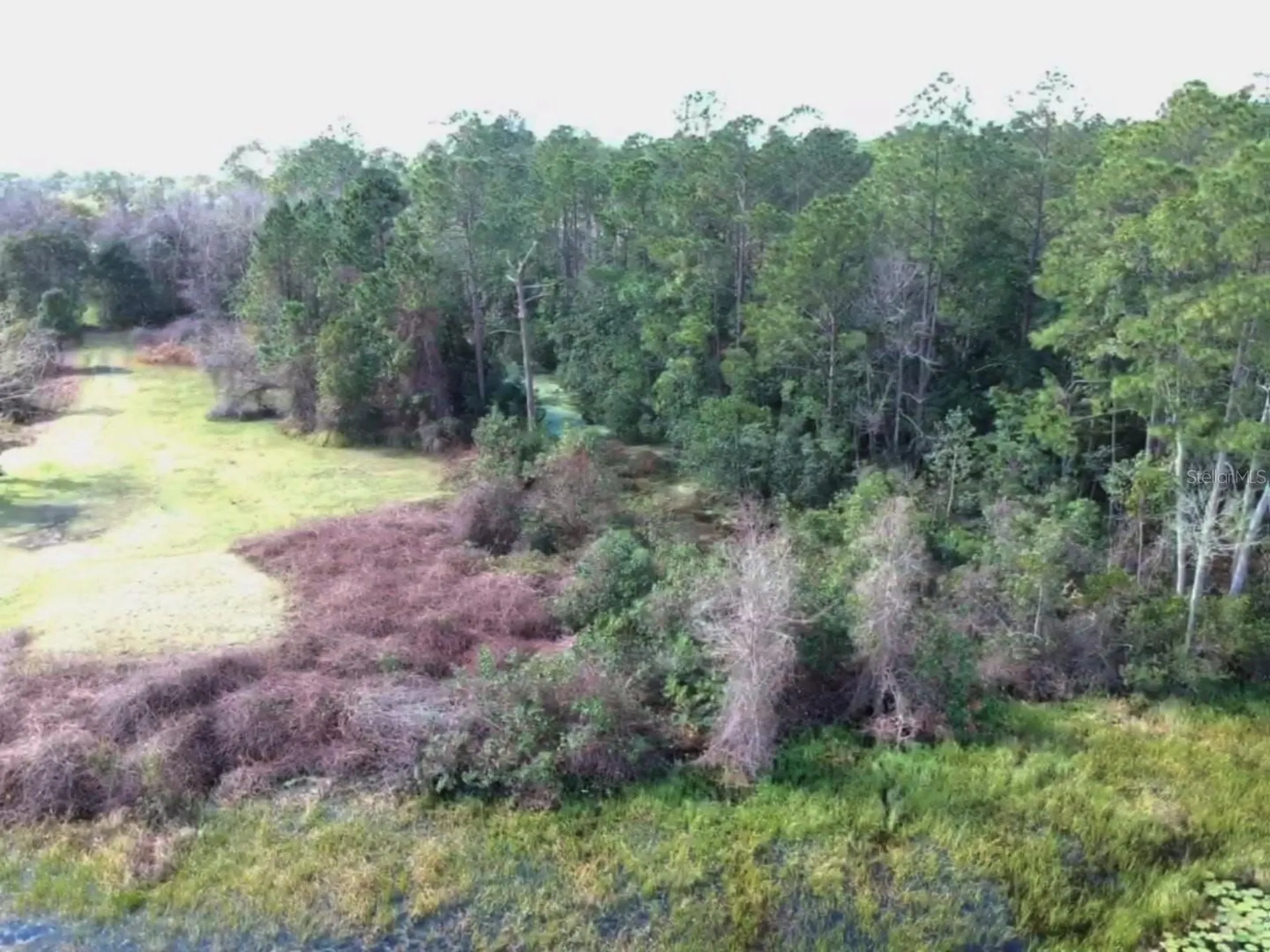 0 Gracie Drive Paisley FL 32767
