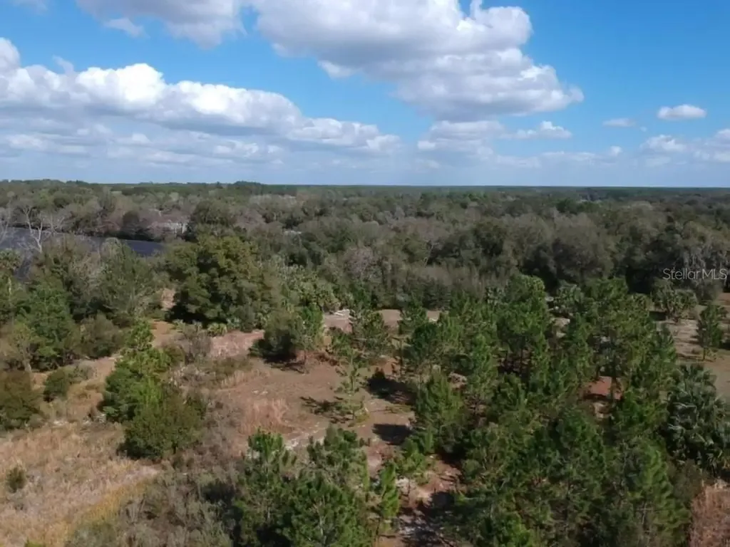 00 Crooked Mile Road Paisley FL 32767