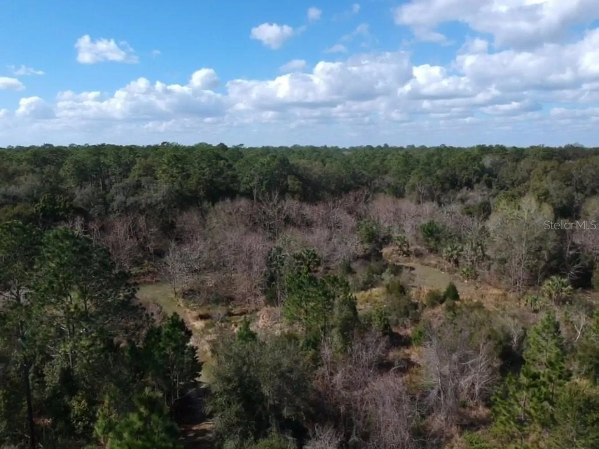 00 Crooked Mile Road Paisley FL 32767