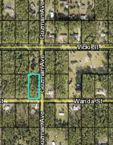 4300 Wanda Street Hastings FL 32145