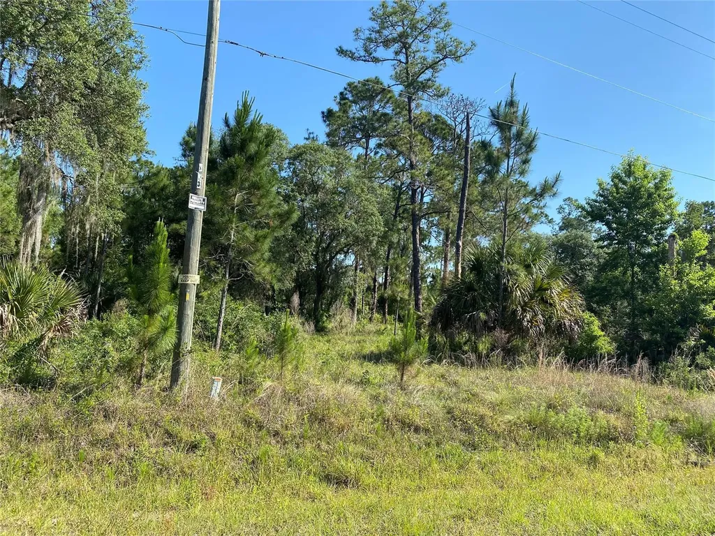 31211 Lake Mack Road Deland FL 32720