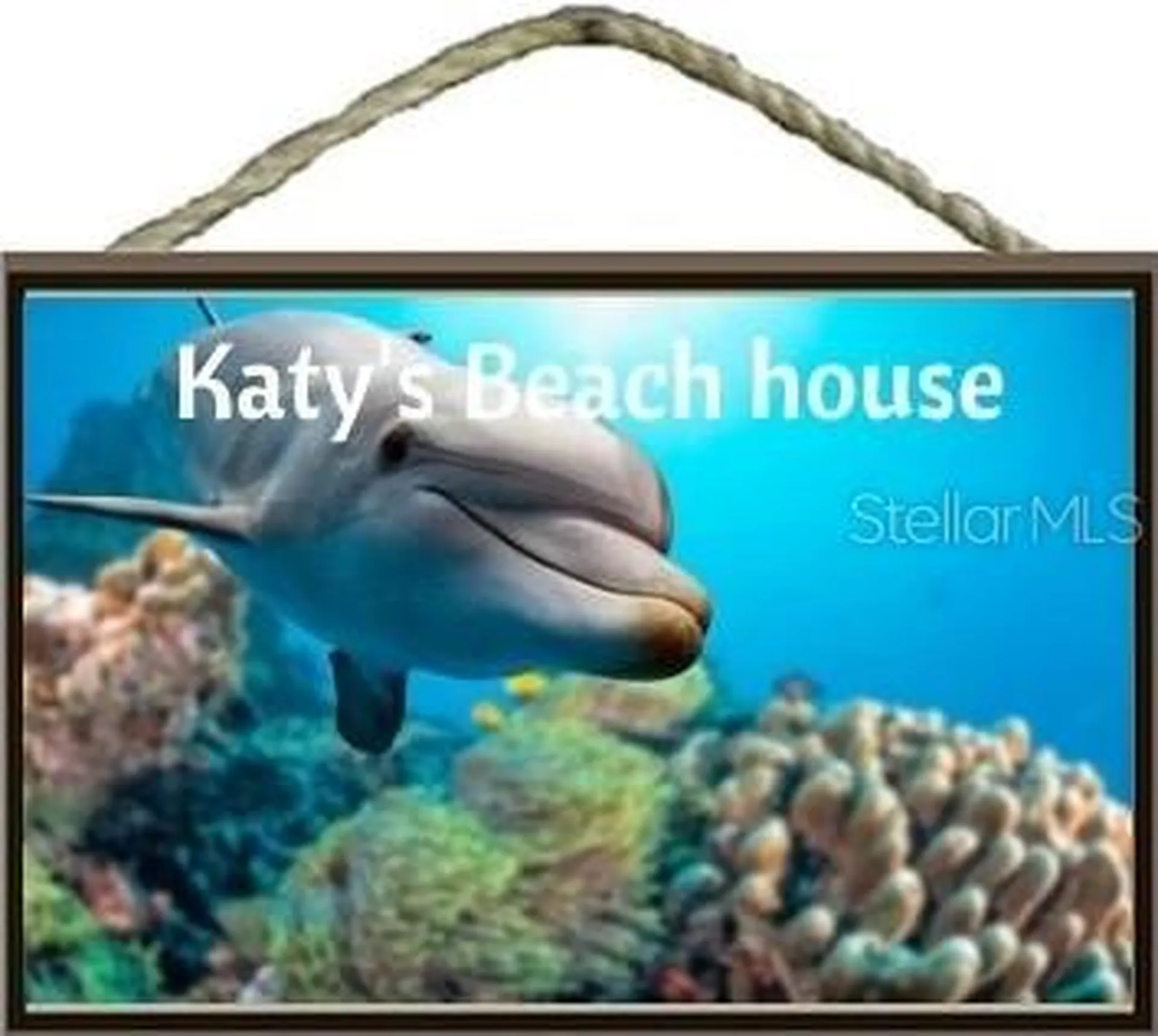4439 Katy Drive New Smyrna Beach FL 32169