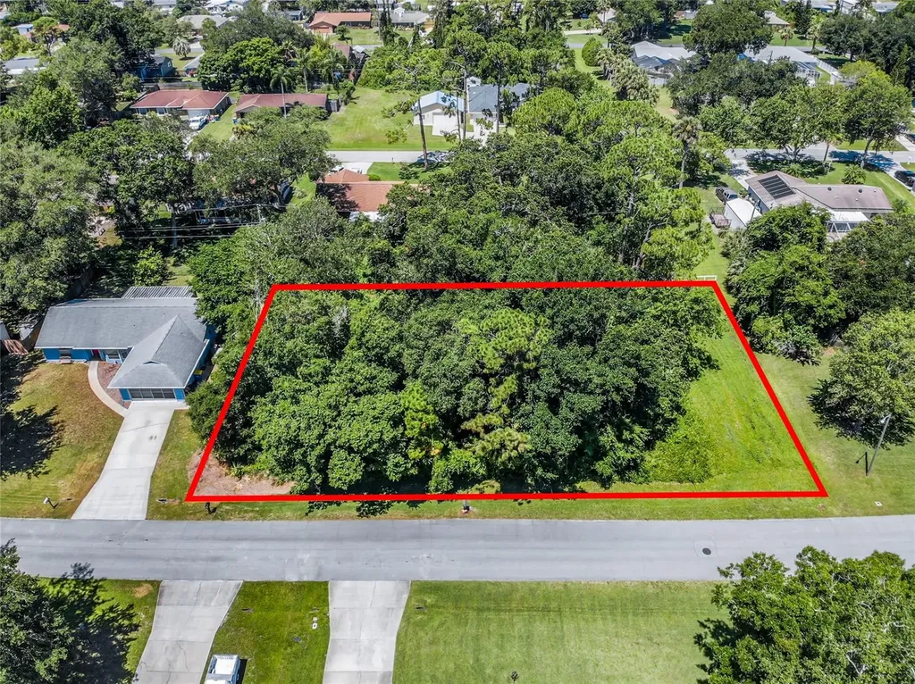 2904 Umbrella Tree Drive Edgewater FL 32141