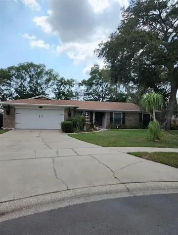 15316 Stonecreek Lane Tampa FL 33613