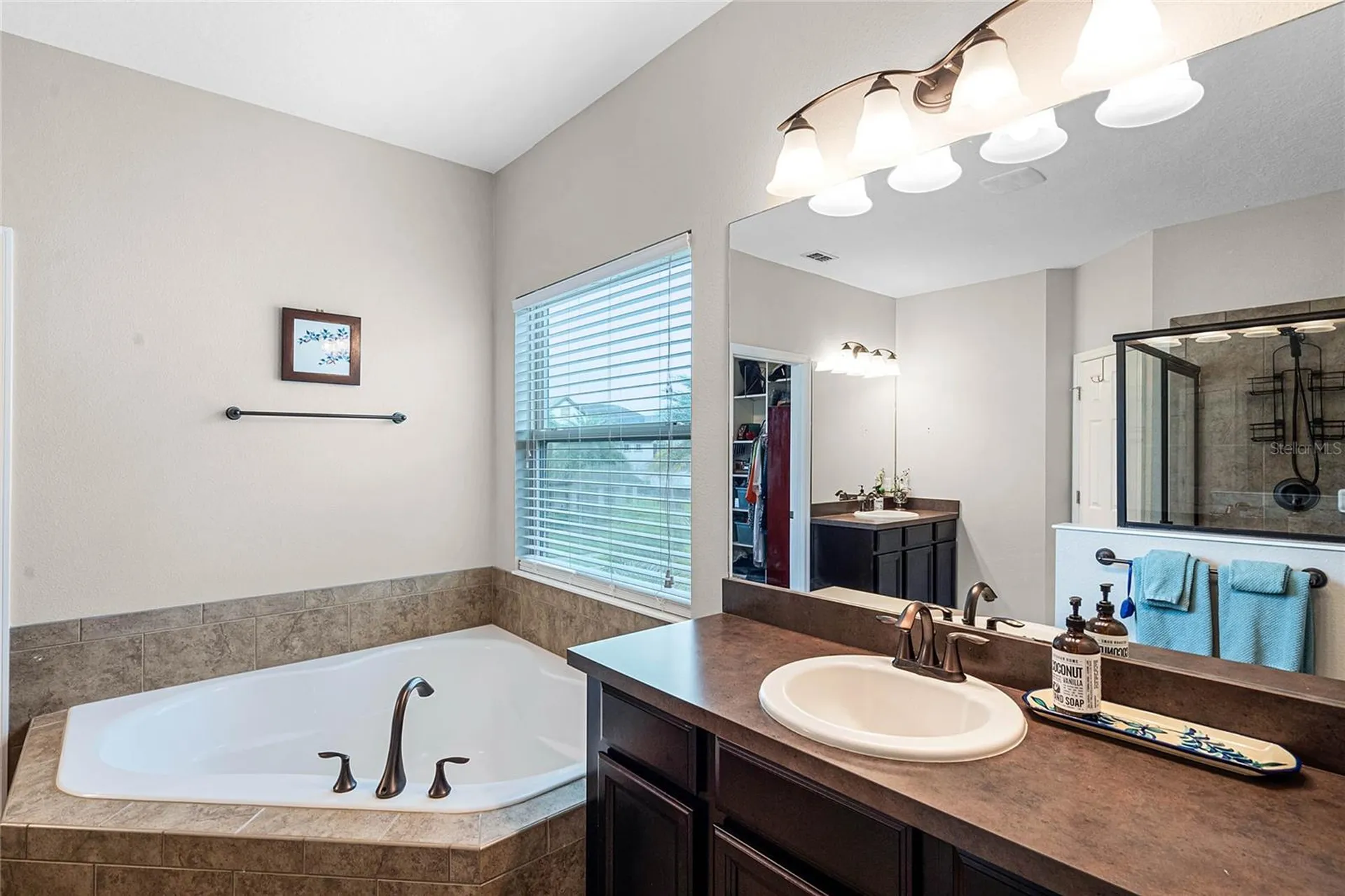 15465 Heron Hideaway Circle Winter Garden FL 34787