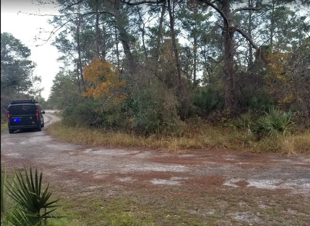 4606 Piedmont Avenue Sebring FL 33875